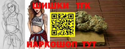 амф Гатчина
