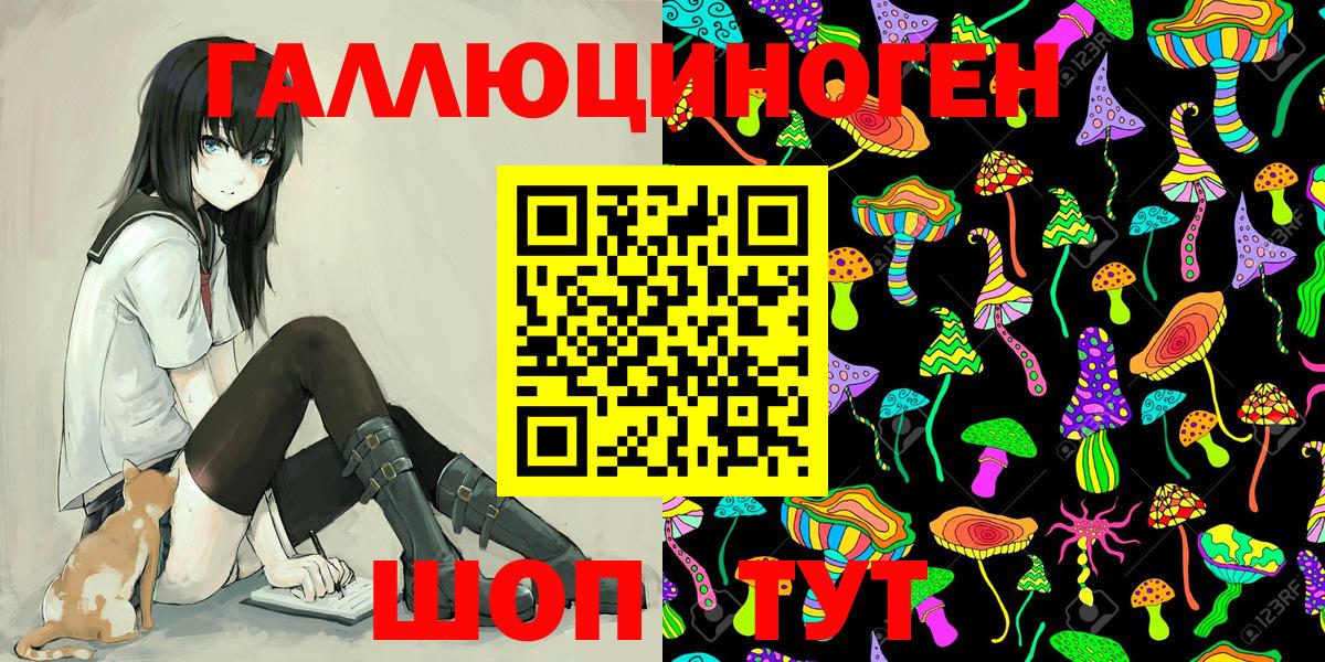 Новороссийск  Псилоцибиновые грибы GOLDEN TEACHER  Вход с VPN 